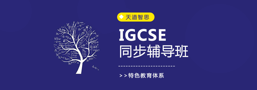 广州IGCSE同步辅导