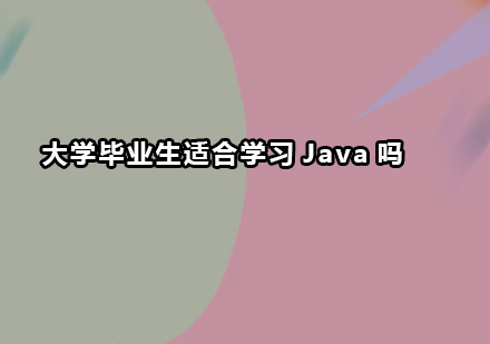 大学毕业生Java职业进阶实战指南