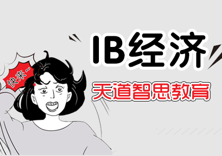 南京IB经济课程