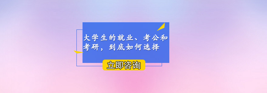 职业发展路径分析