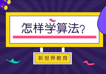 算法学习路径深度解析