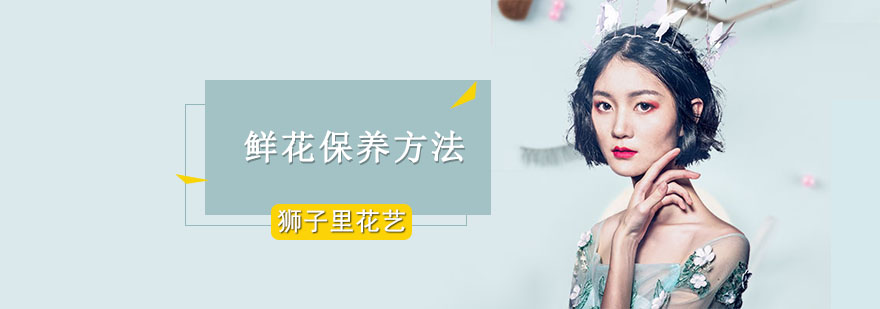 花艺养护示意图