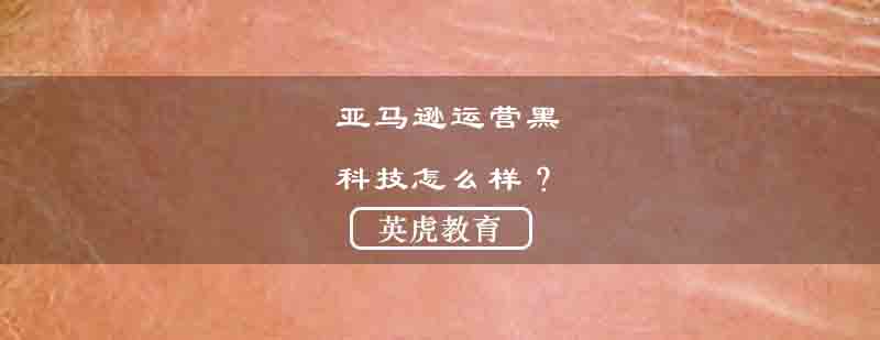 跨境电商运营示意图