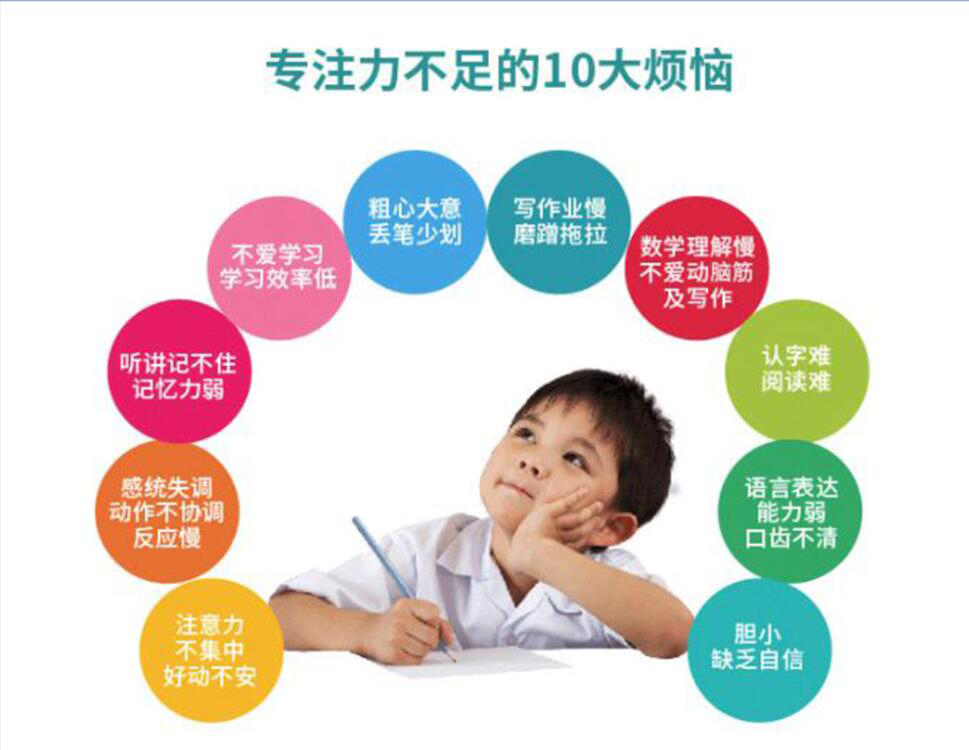 专家团队