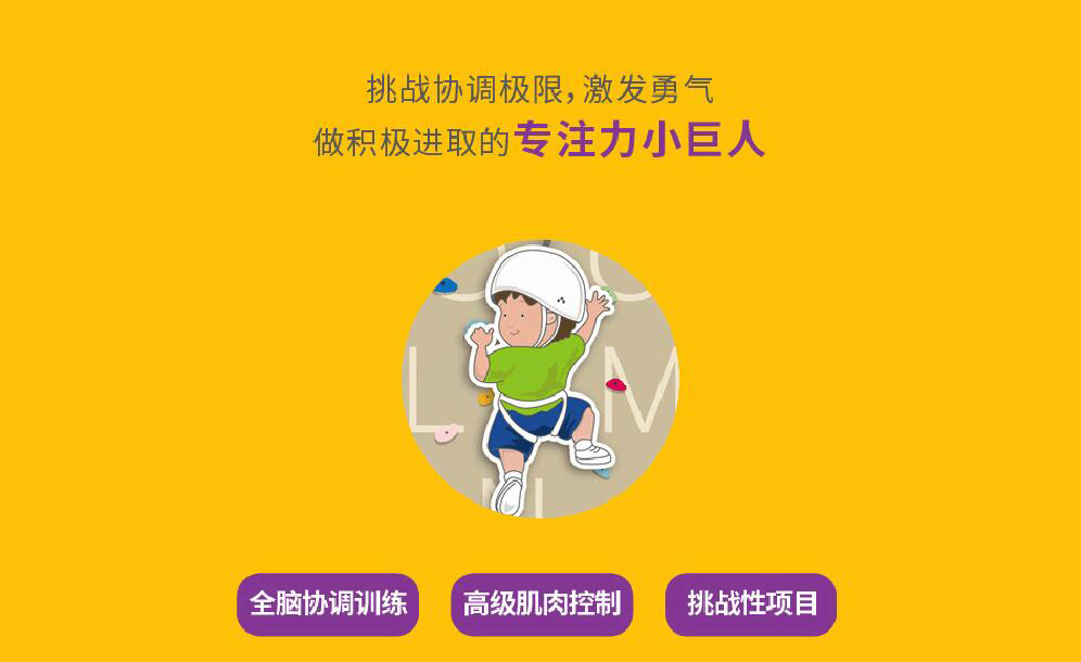 全脑协调训练
