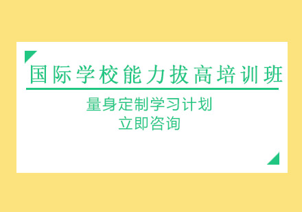 国际学校能力拔高培训班