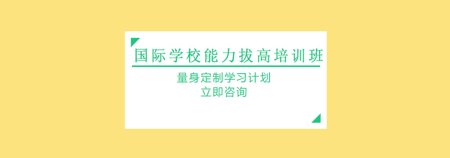 国际教育专项培训