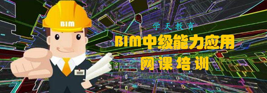 BIM中级能力应用网课