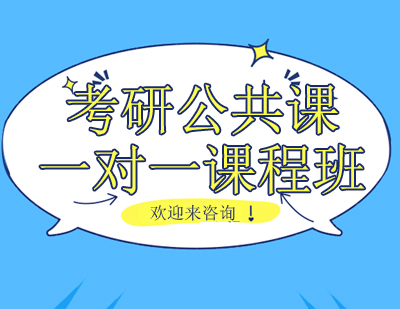 重庆考研公共课一对一课程班