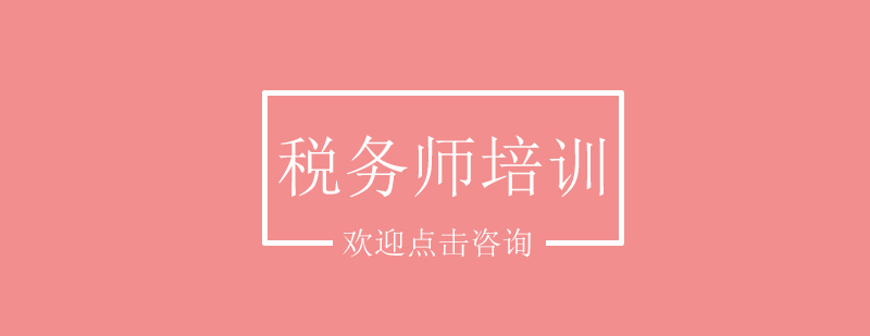 税务师实务操作演示
