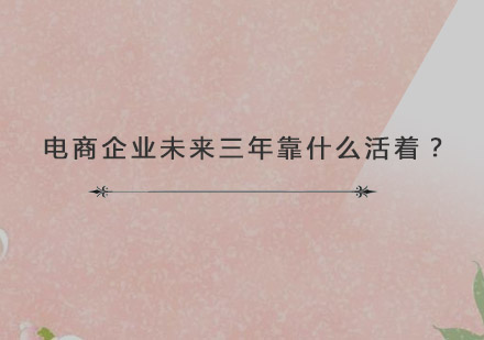 电商企业未来三年生存策略深度解析