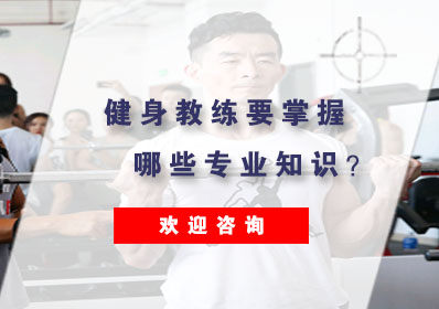 健身教练核心技能深度解析