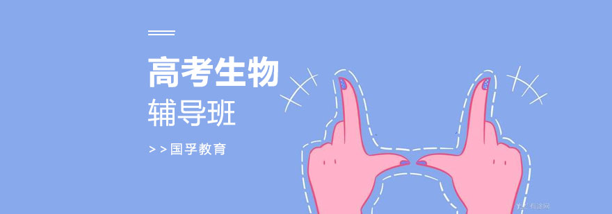 生物分层教学场景