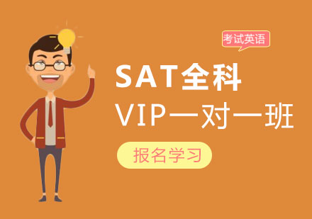 广州SAT全科VIP一对一班