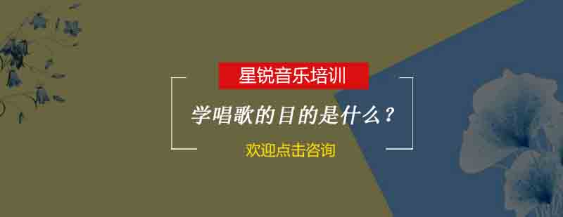 声乐教学实景