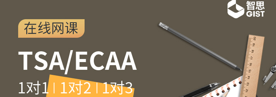 TSA/ECAA课程体系