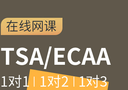 成都TSA/ECAA竞赛课程