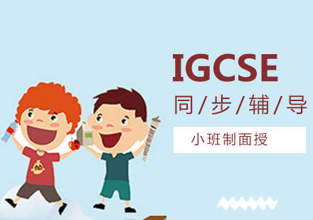 深圳IGCSE同步辅导