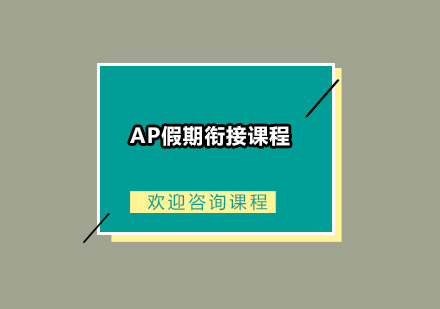 AP假期衔接课程