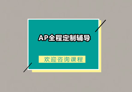 AP全程定制辅导