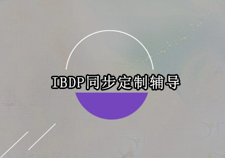 IBDP同步定制辅导