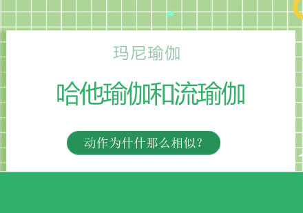 哈他瑜伽和流瑜伽动作为什么那么相似？