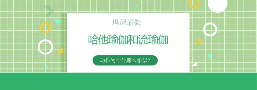 瑜伽体式对比