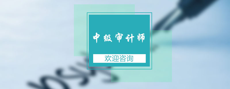 中級審計師課程體系