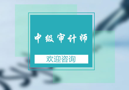 中级审计师