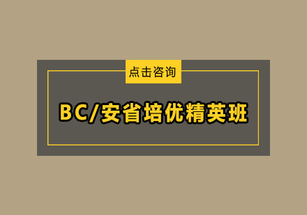 BC/安省培优精英班