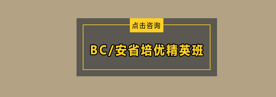 BC安省培优精英班