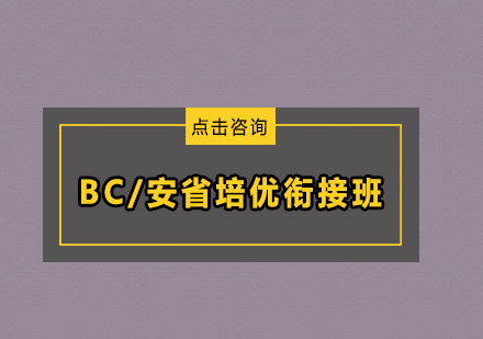 BC/安省培优衔接班