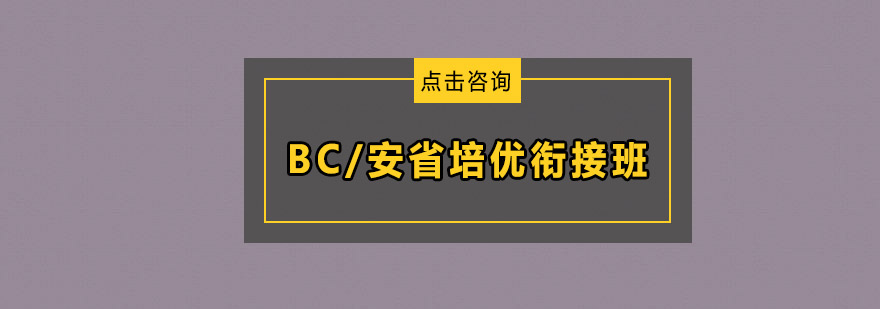 BC安省培优衔接班