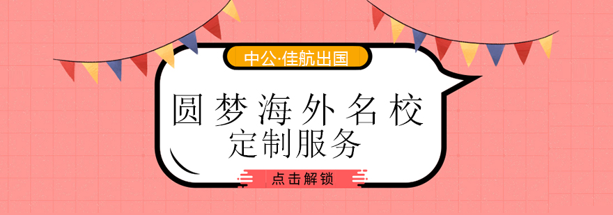 国际教育顾问团队工作场景