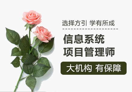 广州信息系统项目管理师