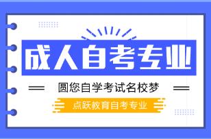 高等教育自学考试深度解析