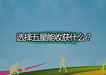 五星篮球训练体系深度解析
