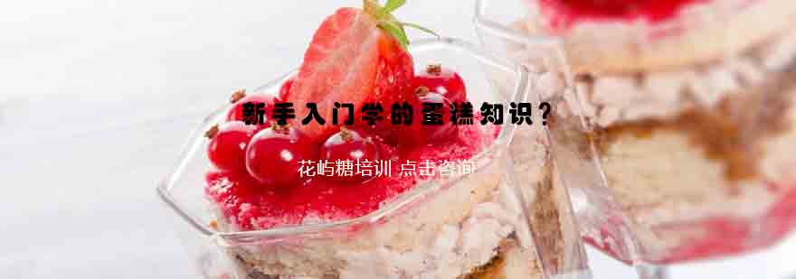 海绵蛋糕剖面结构