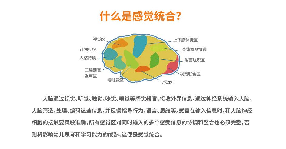 感统综合训练课程