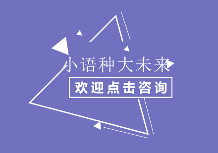 多语种人才培养新模式解析