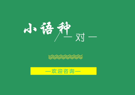 小语种学习全方位指南与课程特色解析