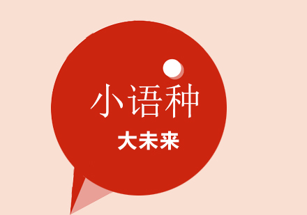 多语种学习深度指南