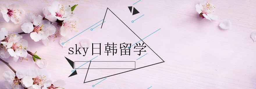 SKY日韩留学导师团队工作场景