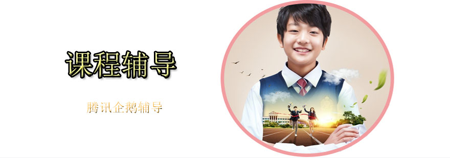 企鹅辅导教学场景