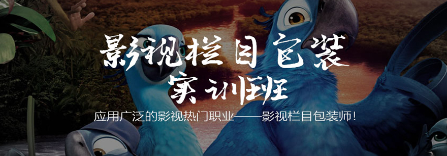影视包装作品展示