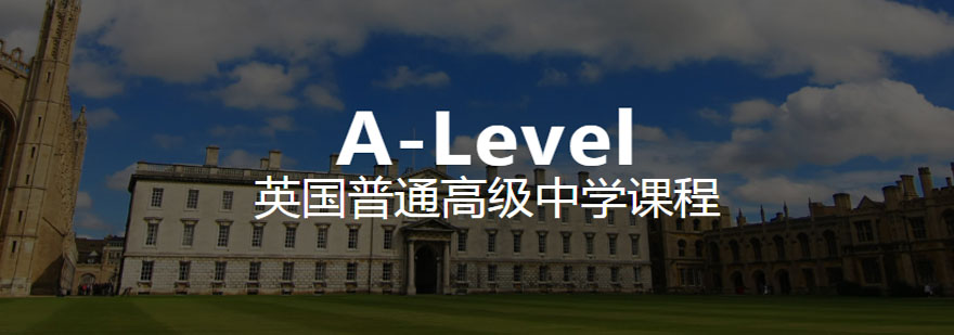 ALevel同步辅导课程