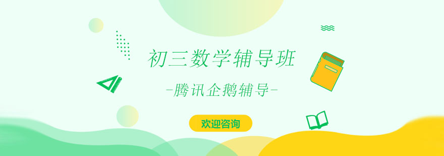 中考数学专题解析