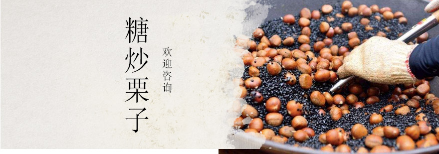 江门糖炒栗子实操教学现场