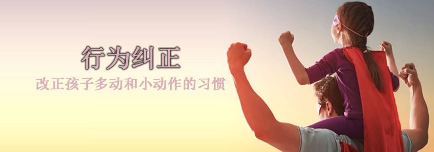 专业行为纠正训练场景