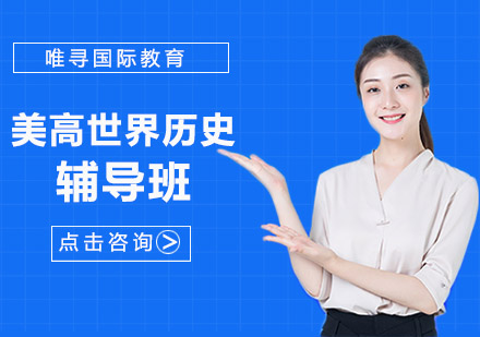 沈阳美高世界历史辅导班